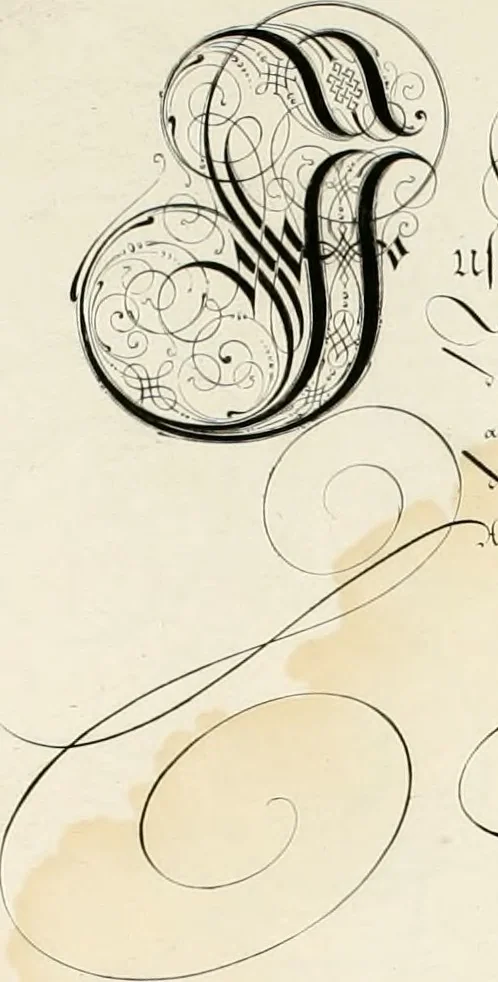 An illustration from Gram[m]ato-graphices : jn qvo varia scripturae emblemata, belgicis, germanicis, italicis, hispanicis, gallicis, et latinis characterib[us] exarata : cum singulorum anatomicis fundamentis ad exacté pingedum perquàm utilia, oculis spectanda jmitandaq[ue], proponuntur, 1605, leaf 22