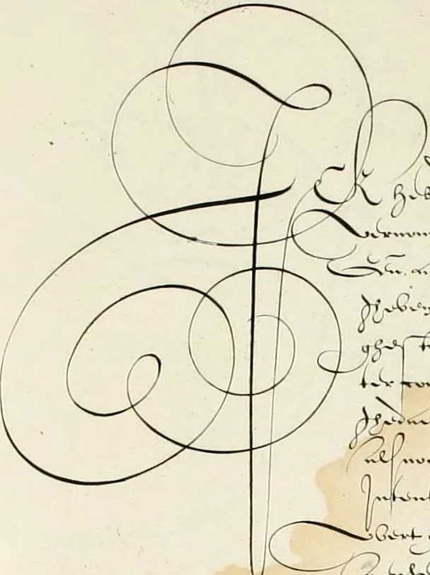 An illustration from Gram[m]ato-graphices : jn qvo varia scripturae emblemata, belgicis, germanicis, italicis, hispanicis, gallicis, et latinis characterib[us] exarata : cum singulorum anatomicis fundamentis ad exacté pingedum perquàm utilia, oculis spectanda jmitandaq[ue], proponuntur, 1605, leaf 24