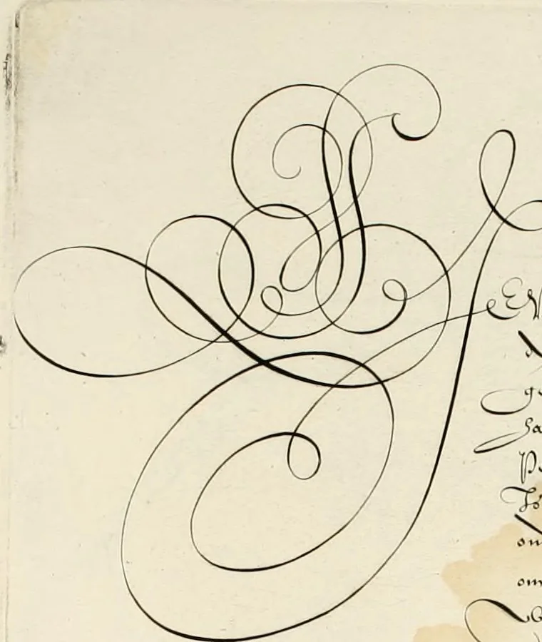 An illustration from Gram[m]ato-graphices : jn qvo varia scripturae emblemata, belgicis, germanicis, italicis, hispanicis, gallicis, et latinis characterib[us] exarata : cum singulorum anatomicis fundamentis ad exacté pingedum perquàm utilia, oculis spectanda jmitandaq[ue], proponuntur, 1605, leaf 25