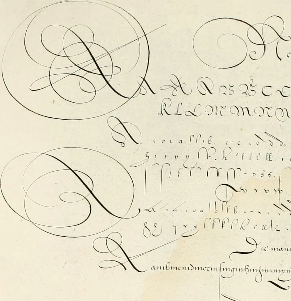 An illustration from Gram[m]ato-graphices : jn qvo varia scripturae emblemata, belgicis, germanicis, italicis, hispanicis, gallicis, et latinis characterib[us] exarata : cum singulorum anatomicis fundamentis ad exacté pingedum perquàm utilia, oculis spectanda jmitandaq[ue], proponuntur, 1605, leaf 28