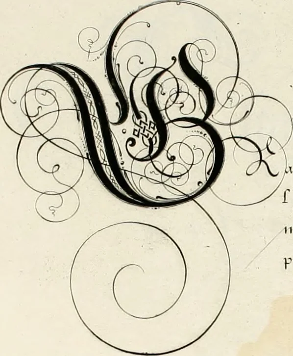 An illustration from Gram[m]ato-graphices : jn qvo varia scripturae emblemata, belgicis, germanicis, italicis, hispanicis, gallicis, et latinis characterib[us] exarata : cum singulorum anatomicis fundamentis ad exacté pingedum perquàm utilia, oculis spectanda jmitandaq[ue], proponuntur, 1605, leaf 30