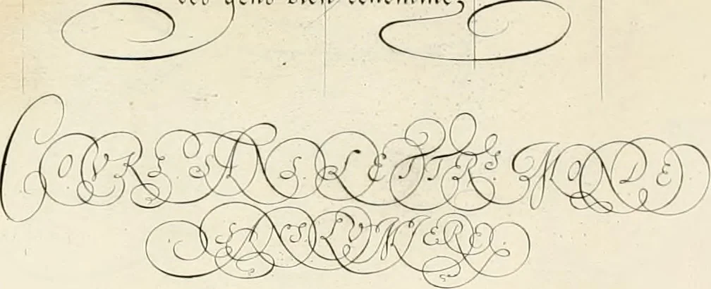 An illustration from Gram[m]ato-graphices : jn qvo varia scripturae emblemata, belgicis, germanicis, italicis, hispanicis, gallicis, et latinis characterib[us] exarata : cum singulorum anatomicis fundamentis ad exacté pingedum perquàm utilia, oculis spectanda jmitandaq[ue], proponuntur, 1605, leaf 30