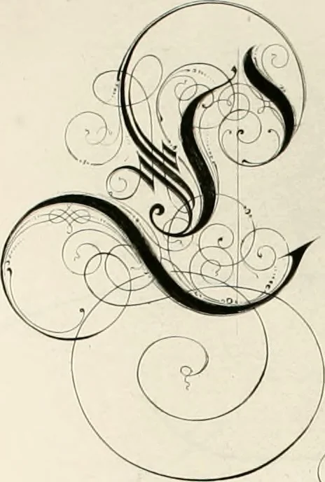 An illustration from Gram[m]ato-graphices : jn qvo varia scripturae emblemata, belgicis, germanicis, italicis, hispanicis, gallicis, et latinis characterib[us] exarata : cum singulorum anatomicis fundamentis ad exacté pingedum perquàm utilia, oculis spectanda jmitandaq[ue], proponuntur, 1605, leaf 33