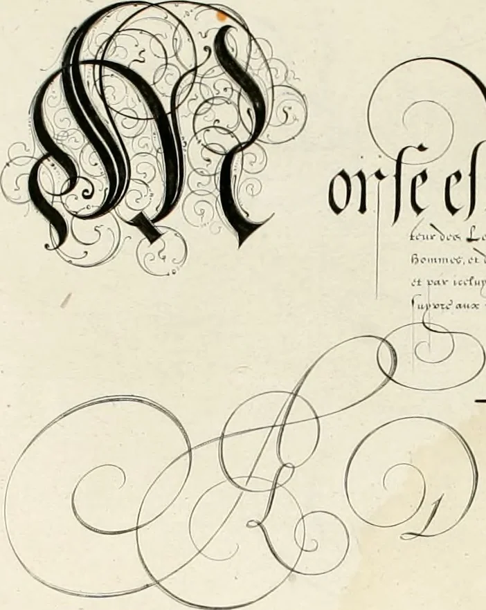 An illustration from Gram[m]ato-graphices : jn qvo varia scripturae emblemata, belgicis, germanicis, italicis, hispanicis, gallicis, et latinis characterib[us] exarata : cum singulorum anatomicis fundamentis ad exacté pingedum perquàm utilia, oculis spectanda jmitandaq[ue], proponuntur, 1605, leaf 35