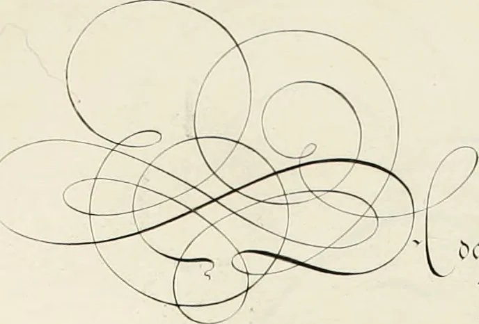 An illustration from Gram[m]ato-graphices : jn qvo varia scripturae emblemata, belgicis, germanicis, italicis, hispanicis, gallicis, et latinis characterib[us] exarata : cum singulorum anatomicis fundamentis ad exacté pingedum perquàm utilia, oculis spectanda jmitandaq[ue], proponuntur, 1605, leaf 36