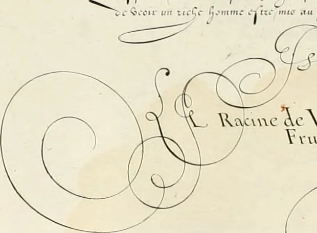 An illustration from Gram[m]ato-graphices : jn qvo varia scripturae emblemata, belgicis, germanicis, italicis, hispanicis, gallicis, et latinis characterib[us] exarata : cum singulorum anatomicis fundamentis ad exacté pingedum perquàm utilia, oculis spectanda jmitandaq[ue], proponuntur, 1605, leaf 36