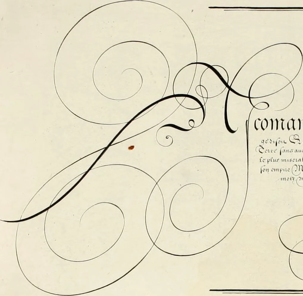 An illustration from Gram[m]ato-graphices : jn qvo varia scripturae emblemata, belgicis, germanicis, italicis, hispanicis, gallicis, et latinis characterib[us] exarata : cum singulorum anatomicis fundamentis ad exacté pingedum perquàm utilia, oculis spectanda jmitandaq[ue], proponuntur, 1605, leaf 37
