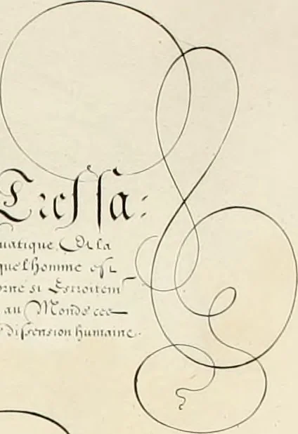 An illustration from Gram[m]ato-graphices : jn qvo varia scripturae emblemata, belgicis, germanicis, italicis, hispanicis, gallicis, et latinis characterib[us] exarata : cum singulorum anatomicis fundamentis ad exacté pingedum perquàm utilia, oculis spectanda jmitandaq[ue], proponuntur, 1605, leaf 37