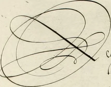 An illustration from Gram[m]ato-graphices : jn qvo varia scripturae emblemata, belgicis, germanicis, italicis, hispanicis, gallicis, et latinis characterib[us] exarata : cum singulorum anatomicis fundamentis ad exacté pingedum perquàm utilia, oculis spectanda jmitandaq[ue], proponuntur, 1605, leaf 39