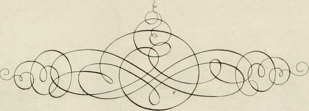 An illustration from Gram[m]ato-graphices : jn qvo varia scripturae emblemata, belgicis, germanicis, italicis, hispanicis, gallicis, et latinis characterib[us] exarata : cum singulorum anatomicis fundamentis ad exacté pingedum perquàm utilia, oculis spectanda jmitandaq[ue], proponuntur, 1605, leaf 39