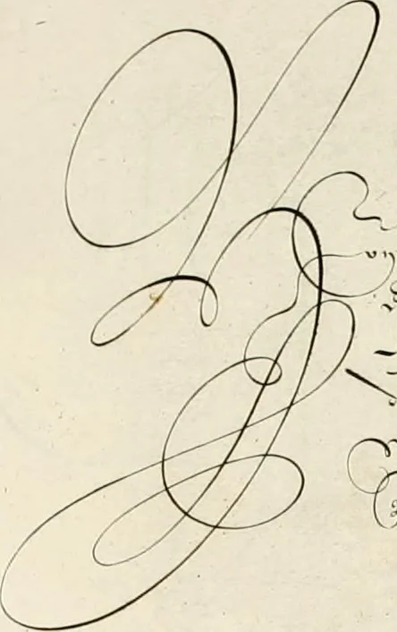 An illustration from Gram[m]ato-graphices : jn qvo varia scripturae emblemata, belgicis, germanicis, italicis, hispanicis, gallicis, et latinis characterib[us] exarata : cum singulorum anatomicis fundamentis ad exacté pingedum perquàm utilia, oculis spectanda jmitandaq[ue], proponuntur, 1605, leaf 40