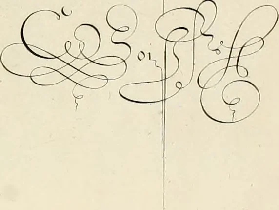 An illustration from Gram[m]ato-graphices : jn qvo varia scripturae emblemata, belgicis, germanicis, italicis, hispanicis, gallicis, et latinis characterib[us] exarata : cum singulorum anatomicis fundamentis ad exacté pingedum perquàm utilia, oculis spectanda jmitandaq[ue], proponuntur, 1605, leaf 41