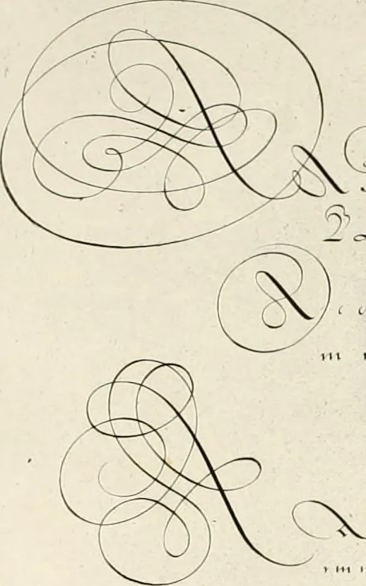 An illustration from Gram[m]ato-graphices : jn qvo varia scripturae emblemata, belgicis, germanicis, italicis, hispanicis, gallicis, et latinis characterib[us] exarata : cum singulorum anatomicis fundamentis ad exacté pingedum perquàm utilia, oculis spectanda jmitandaq[ue], proponuntur, 1605, leaf 42