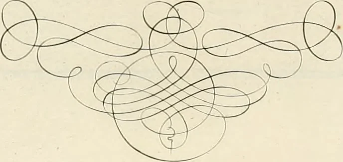 An illustration from Gram[m]ato-graphices : jn qvo varia scripturae emblemata, belgicis, germanicis, italicis, hispanicis, gallicis, et latinis characterib[us] exarata : cum singulorum anatomicis fundamentis ad exacté pingedum perquàm utilia, oculis spectanda jmitandaq[ue], proponuntur, 1605, leaf 43