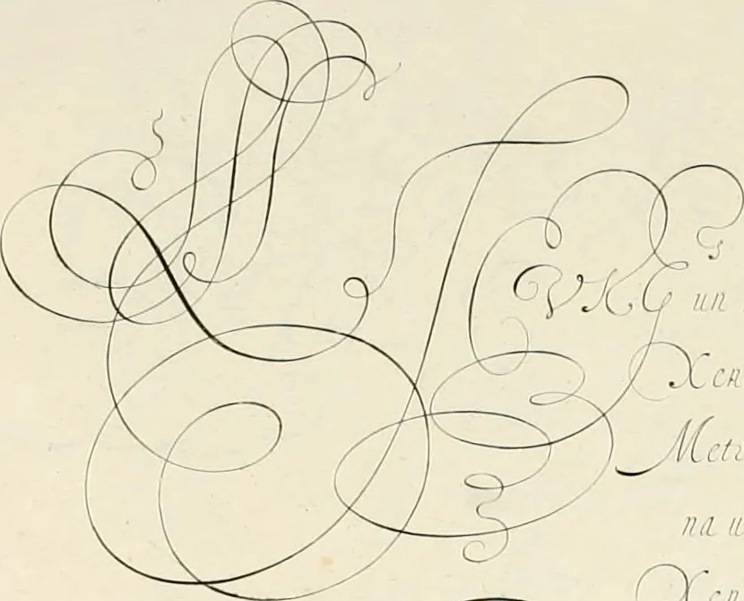 An illustration from Gram[m]ato-graphices : jn qvo varia scripturae emblemata, belgicis, germanicis, italicis, hispanicis, gallicis, et latinis characterib[us] exarata : cum singulorum anatomicis fundamentis ad exacté pingedum perquàm utilia, oculis spectanda jmitandaq[ue], proponuntur, 1605, leaf 46