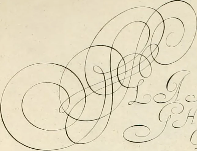 An illustration from Gram[m]ato-graphices : jn qvo varia scripturae emblemata, belgicis, germanicis, italicis, hispanicis, gallicis, et latinis characterib[us] exarata : cum singulorum anatomicis fundamentis ad exacté pingedum perquàm utilia, oculis spectanda jmitandaq[ue], proponuntur, 1605, leaf 49