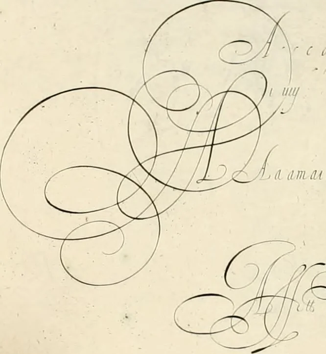 An illustration from Gram[m]ato-graphices : jn qvo varia scripturae emblemata, belgicis, germanicis, italicis, hispanicis, gallicis, et latinis characterib[us] exarata : cum singulorum anatomicis fundamentis ad exacté pingedum perquàm utilia, oculis spectanda jmitandaq[ue], proponuntur, 1605, leaf 49