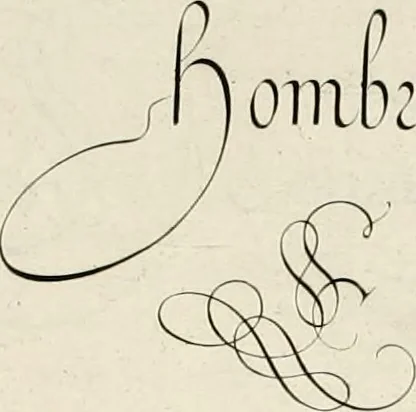 An illustration from Gram[m]ato-graphices : jn qvo varia scripturae emblemata, belgicis, germanicis, italicis, hispanicis, gallicis, et latinis characterib[us] exarata : cum singulorum anatomicis fundamentis ad exacté pingedum perquàm utilia, oculis spectanda jmitandaq[ue], proponuntur, 1605, leaf 50