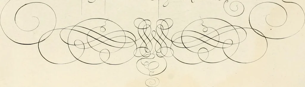 An illustration from Gram[m]ato-graphices : jn qvo varia scripturae emblemata, belgicis, germanicis, italicis, hispanicis, gallicis, et latinis characterib[us] exarata : cum singulorum anatomicis fundamentis ad exacté pingedum perquàm utilia, oculis spectanda jmitandaq[ue], proponuntur, 1605, leaf 51