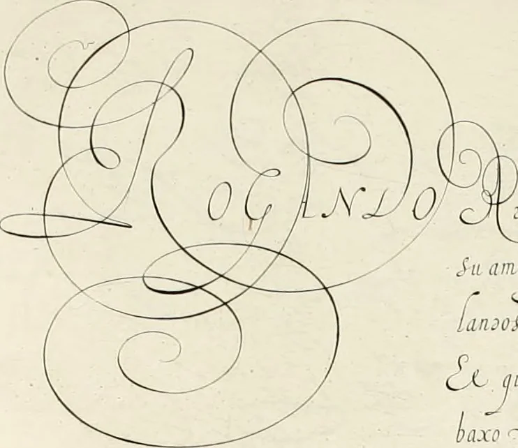 An illustration from Gram[m]ato-graphices : jn qvo varia scripturae emblemata, belgicis, germanicis, italicis, hispanicis, gallicis, et latinis characterib[us] exarata : cum singulorum anatomicis fundamentis ad exacté pingedum perquàm utilia, oculis spectanda jmitandaq[ue], proponuntur, 1605, leaf 52