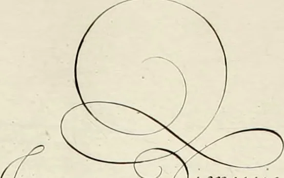 An illustration from Gram[m]ato-graphices : jn qvo varia scripturae emblemata, belgicis, germanicis, italicis, hispanicis, gallicis, et latinis characterib[us] exarata : cum singulorum anatomicis fundamentis ad exacté pingedum perquàm utilia, oculis spectanda jmitandaq[ue], proponuntur, 1605, leaf 52