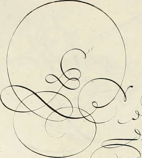 An illustration from Gram[m]ato-graphices : jn qvo varia scripturae emblemata, belgicis, germanicis, italicis, hispanicis, gallicis, et latinis characterib[us] exarata : cum singulorum anatomicis fundamentis ad exacté pingedum perquàm utilia, oculis spectanda jmitandaq[ue], proponuntur, 1605, leaf 53