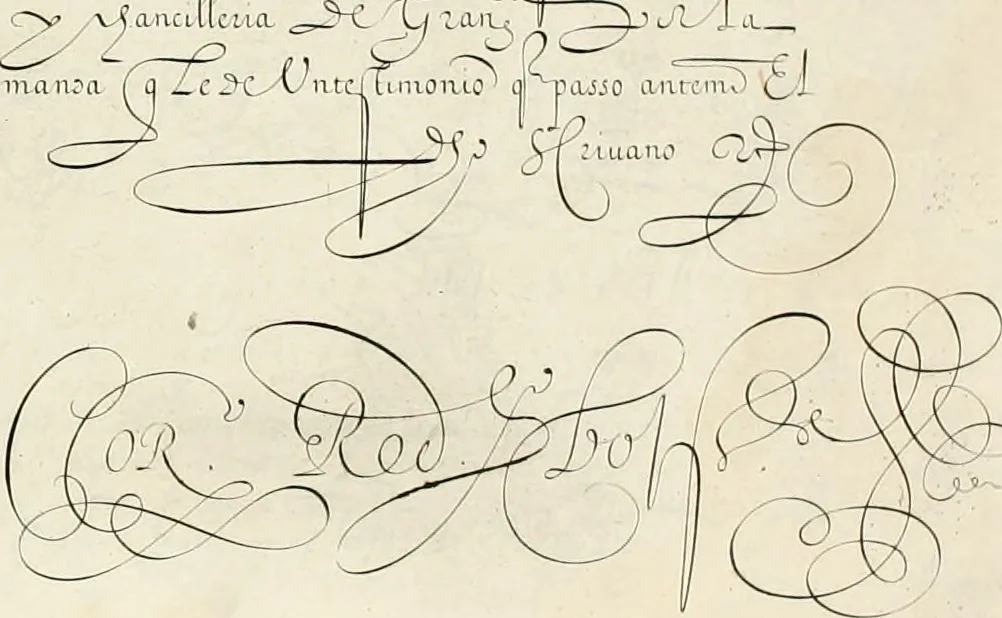 An illustration from Gram[m]ato-graphices : jn qvo varia scripturae emblemata, belgicis, germanicis, italicis, hispanicis, gallicis, et latinis characterib[us] exarata : cum singulorum anatomicis fundamentis ad exacté pingedum perquàm utilia, oculis spectanda jmitandaq[ue], proponuntur, 1605, leaf 53