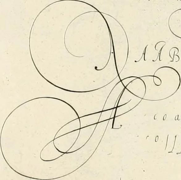 An illustration from Gram[m]ato-graphices : jn qvo varia scripturae emblemata, belgicis, germanicis, italicis, hispanicis, gallicis, et latinis characterib[us] exarata : cum singulorum anatomicis fundamentis ad exacté pingedum perquàm utilia, oculis spectanda jmitandaq[ue], proponuntur, 1605, leaf 54