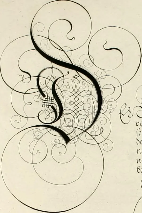 An illustration from Gram[m]ato-graphices : jn qvo varia scripturae emblemata, belgicis, germanicis, italicis, hispanicis, gallicis, et latinis characterib[us] exarata : cum singulorum anatomicis fundamentis ad exacté pingedum perquàm utilia, oculis spectanda jmitandaq[ue], proponuntur, 1605, leaf 56