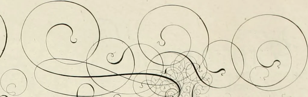 An illustration from Gram[m]ato-graphices : jn qvo varia scripturae emblemata, belgicis, germanicis, italicis, hispanicis, gallicis, et latinis characterib[us] exarata : cum singulorum anatomicis fundamentis ad exacté pingedum perquàm utilia, oculis spectanda jmitandaq[ue], proponuntur, 1605, leaf 56