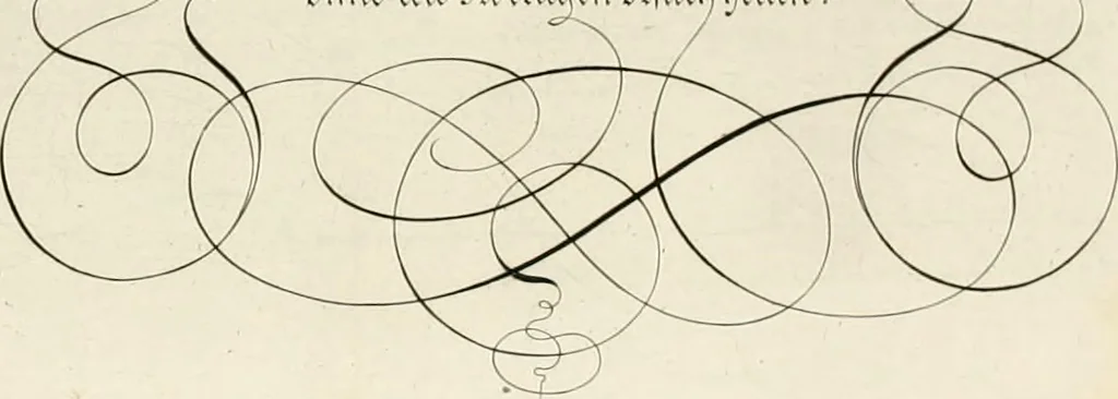 An illustration from Gram[m]ato-graphices : jn qvo varia scripturae emblemata, belgicis, germanicis, italicis, hispanicis, gallicis, et latinis characterib[us] exarata : cum singulorum anatomicis fundamentis ad exacté pingedum perquàm utilia, oculis spectanda jmitandaq[ue], proponuntur, 1605, leaf 56