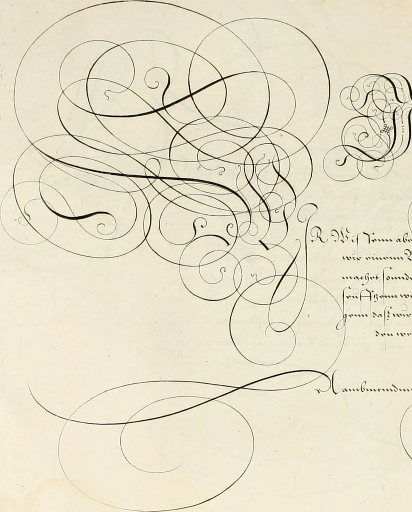 An illustration from Gram[m]ato-graphices : jn qvo varia scripturae emblemata, belgicis, germanicis, italicis, hispanicis, gallicis, et latinis characterib[us] exarata : cum singulorum anatomicis fundamentis ad exacté pingedum perquàm utilia, oculis spectanda jmitandaq[ue], proponuntur, 1605, leaf 57