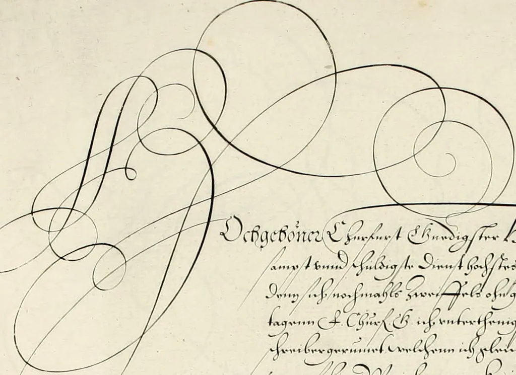 An illustration from Gram[m]ato-graphices : jn qvo varia scripturae emblemata, belgicis, germanicis, italicis, hispanicis, gallicis, et latinis characterib[us] exarata : cum singulorum anatomicis fundamentis ad exacté pingedum perquàm utilia, oculis spectanda jmitandaq[ue], proponuntur, 1605, leaf 58