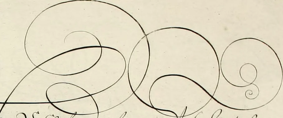 An illustration from Gram[m]ato-graphices : jn qvo varia scripturae emblemata, belgicis, germanicis, italicis, hispanicis, gallicis, et latinis characterib[us] exarata : cum singulorum anatomicis fundamentis ad exacté pingedum perquàm utilia, oculis spectanda jmitandaq[ue], proponuntur, 1605, leaf 58