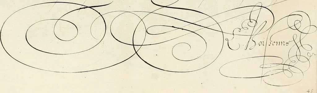 An illustration from Gram[m]ato-graphices : jn qvo varia scripturae emblemata, belgicis, germanicis, italicis, hispanicis, gallicis, et latinis characterib[us] exarata : cum singulorum anatomicis fundamentis ad exacté pingedum perquàm utilia, oculis spectanda jmitandaq[ue], proponuntur, 1605, leaf 58