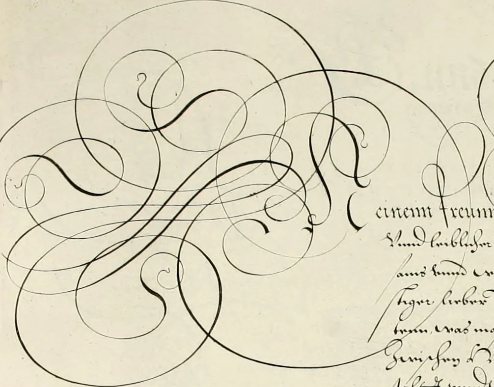 An illustration from Gram[m]ato-graphices : jn qvo varia scripturae emblemata, belgicis, germanicis, italicis, hispanicis, gallicis, et latinis characterib[us] exarata : cum singulorum anatomicis fundamentis ad exacté pingedum perquàm utilia, oculis spectanda jmitandaq[ue], proponuntur, 1605, leaf 59