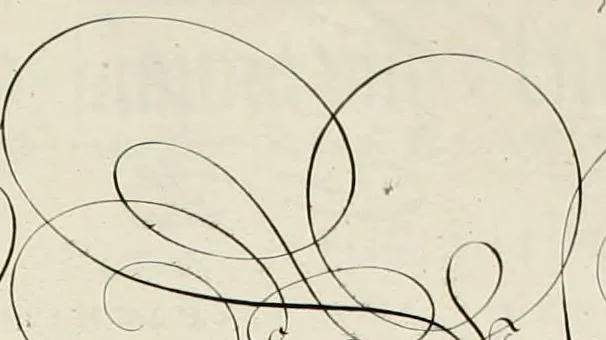 An illustration from Gram[m]ato-graphices : jn qvo varia scripturae emblemata, belgicis, germanicis, italicis, hispanicis, gallicis, et latinis characterib[us] exarata : cum singulorum anatomicis fundamentis ad exacté pingedum perquàm utilia, oculis spectanda jmitandaq[ue], proponuntur, 1605, leaf 59