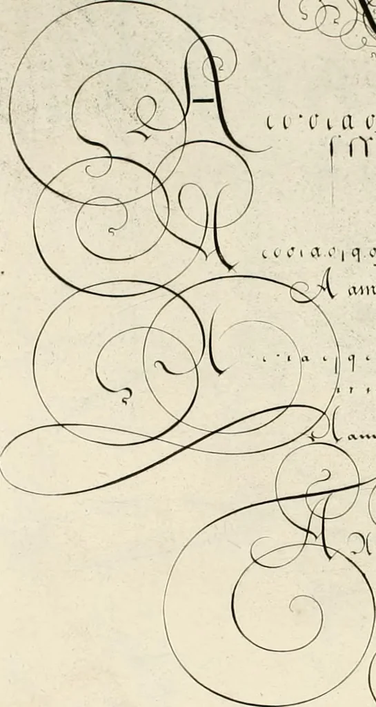 An illustration from Gram[m]ato-graphices : jn qvo varia scripturae emblemata, belgicis, germanicis, italicis, hispanicis, gallicis, et latinis characterib[us] exarata : cum singulorum anatomicis fundamentis ad exacté pingedum perquàm utilia, oculis spectanda jmitandaq[ue], proponuntur, 1605, leaf 60