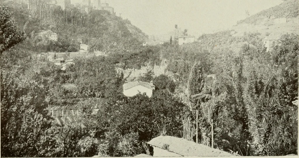 An illustration from Granada and the Alhambra, a brief description of the ancient city of Granada, with a particular account of the Moorish palace, 1907, leaf 133