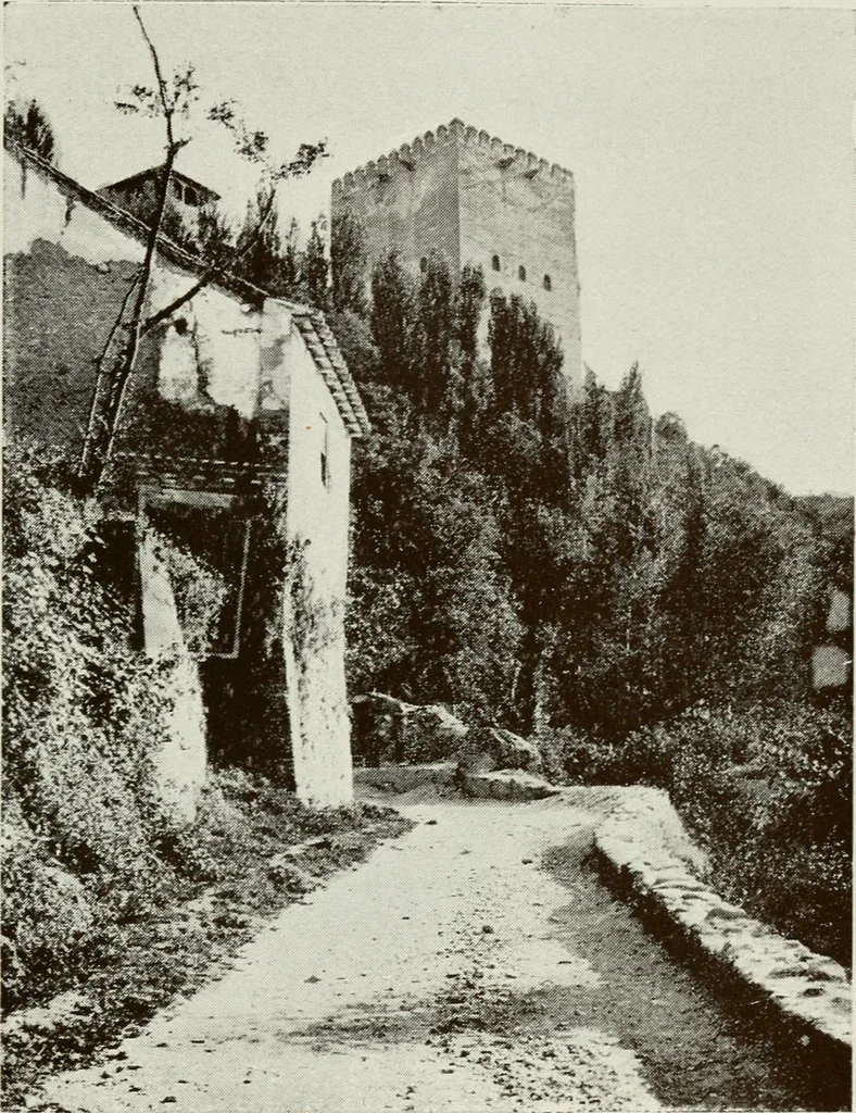 An illustration from Granada and the Alhambra, a brief description of the ancient city of Granada, with a particular account of the Moorish palace, 1907, leaf 219