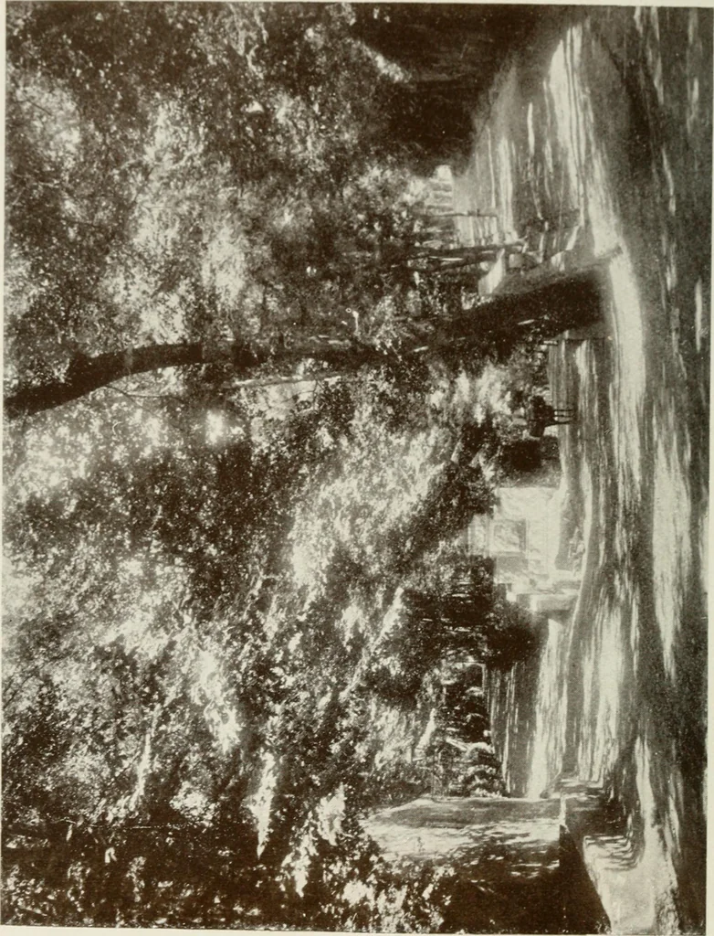 An illustration from Granada and the Alhambra, a brief description of the ancient city of Granada, with a particular account of the Moorish palace, 1907, leaf 234
