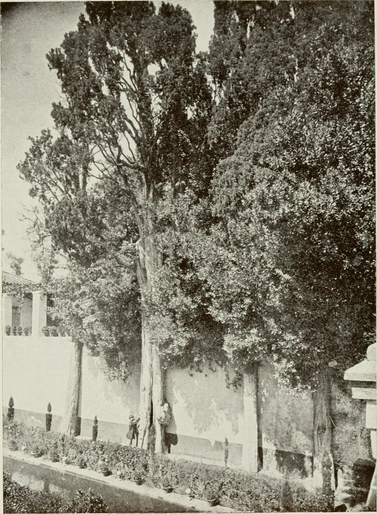 An illustration from Granada and the Alhambra, a brief description of the ancient city of Granada, with a particular account of the Moorish palace, 1907, leaf 479