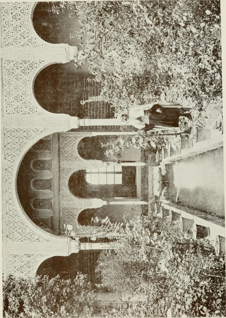 An illustration from Granada and the Alhambra, a brief description of the ancient city of Granada, with a particular account of the Moorish palace, 1907, leaf 481