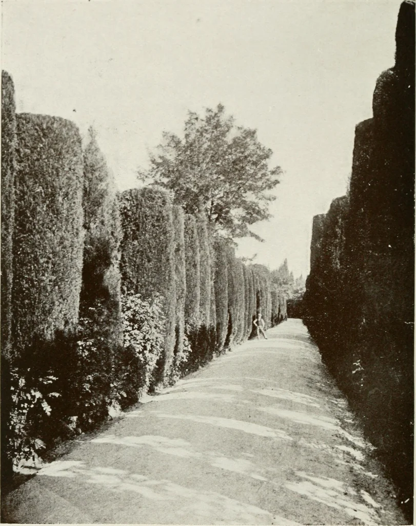 An illustration from Granada and the Alhambra, a brief description of the ancient city of Granada, with a particular account of the Moorish palace, 1907, leaf 484