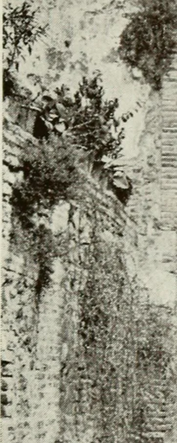 An illustration from Granada and the Alhambra, a brief description of the ancient city of Granada, with a particular account of the Moorish palace, 1907, leaf 495
