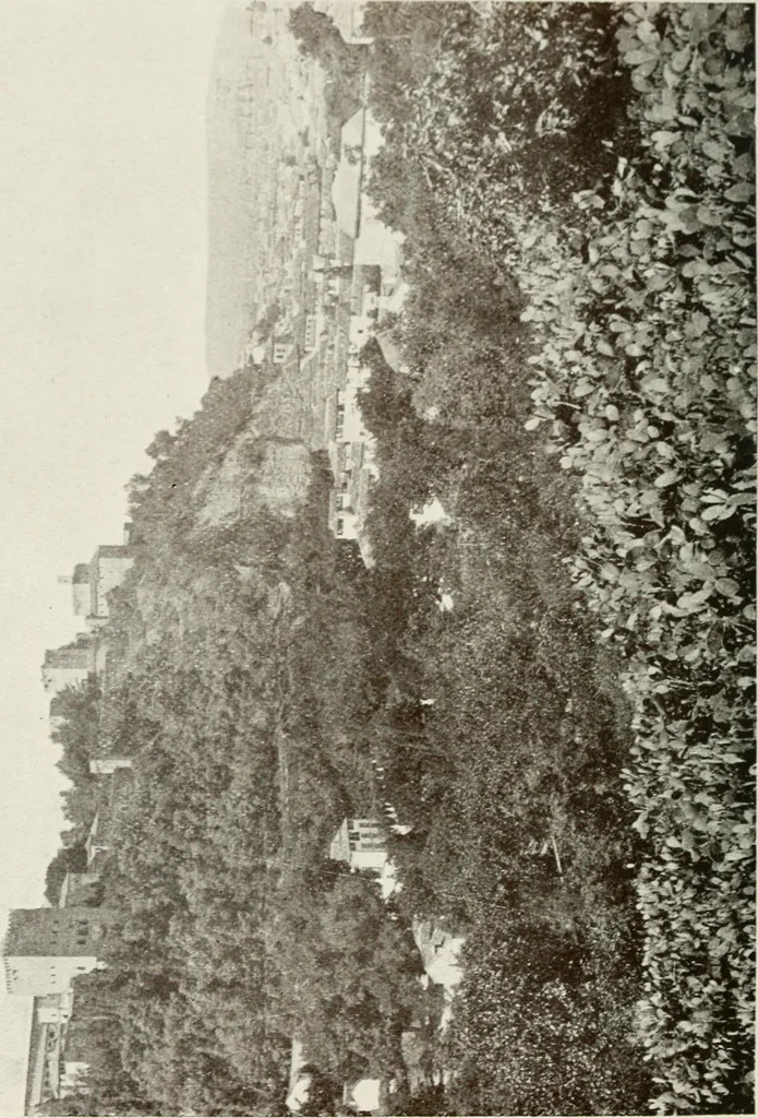 An illustration from Granada and the Alhambra, a brief description of the ancient city of Granada, with a particular account of the Moorish palace, 1907, leaf 500