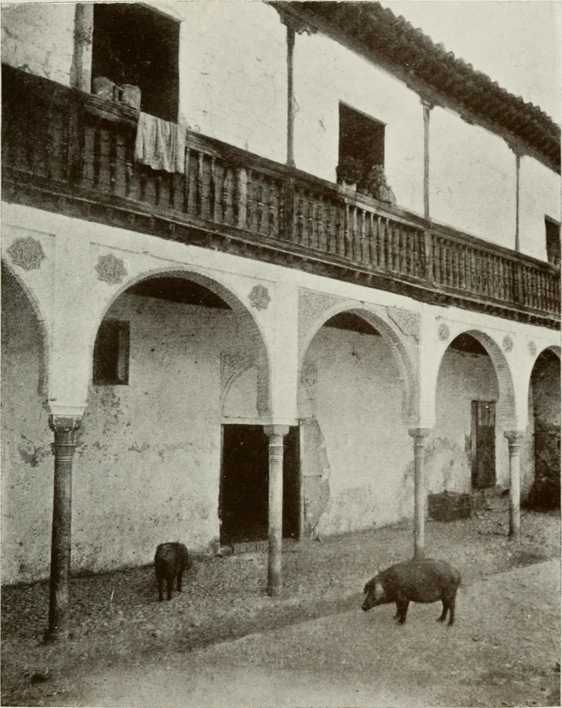 An illustration from Granada and the Alhambra, a brief description of the ancient city of Granada, with a particular account of the Moorish palace, 1907, leaf 517