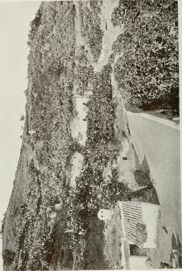 An illustration from Granada and the Alhambra, a brief description of the ancient city of Granada, with a particular account of the Moorish palace, 1907, leaf 558