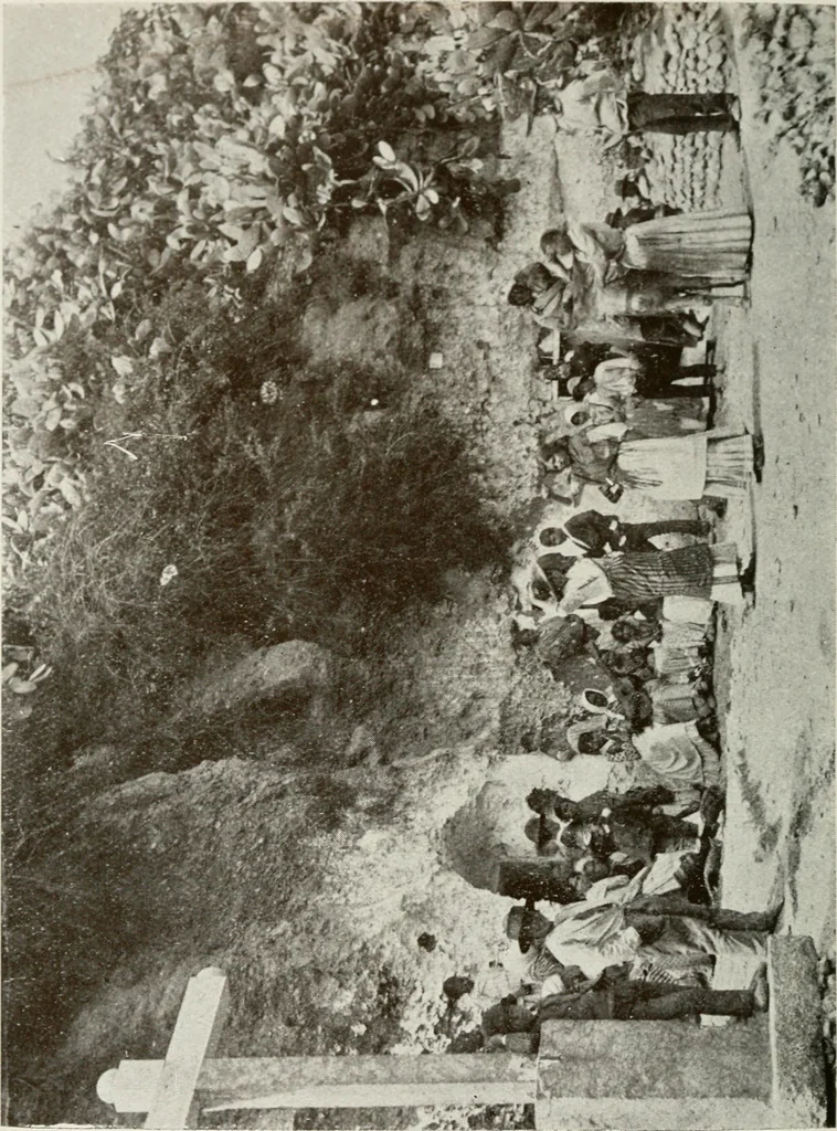 An illustration from Granada and the Alhambra, a brief description of the ancient city of Granada, with a particular account of the Moorish palace, 1907, leaf 560
