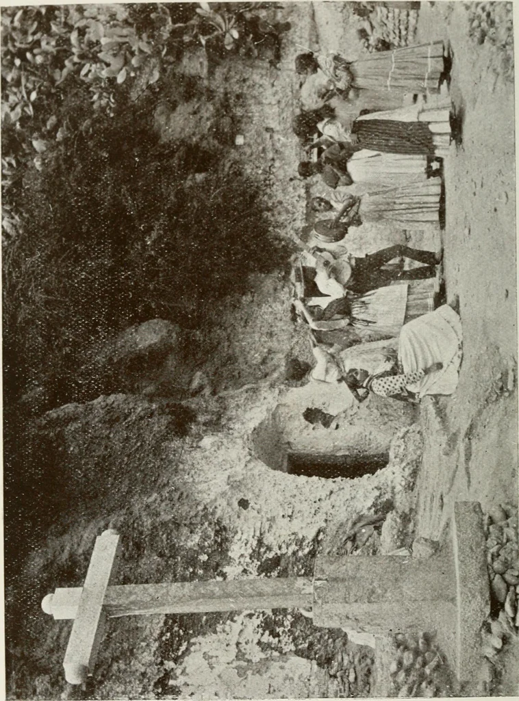 An illustration from Granada and the Alhambra, a brief description of the ancient city of Granada, with a particular account of the Moorish palace, 1907, leaf 562